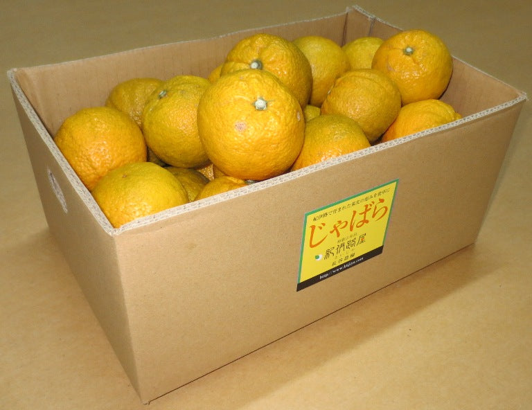 和歌山県有田産 じゃばら (3kg入り)