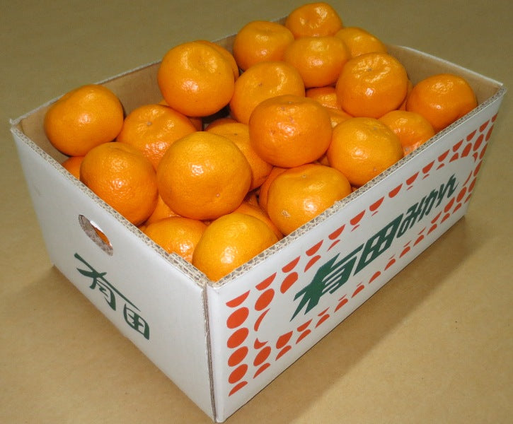 【産地直送】和歌山県有田産 田口早生みかん(10kg入り)