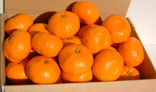 紀伊路屋 有田のみかん果皮粉末(50g)クリックポスト