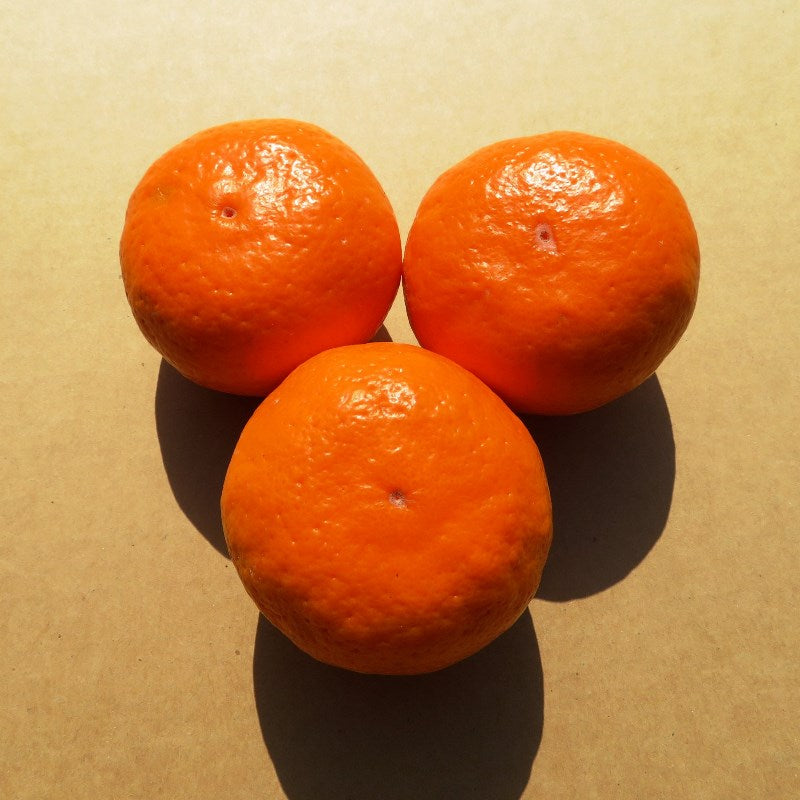 紀伊路屋 おいしい朝ジャム 紀六柑(きろくかん)かんきつ中間母本農6号(140g)