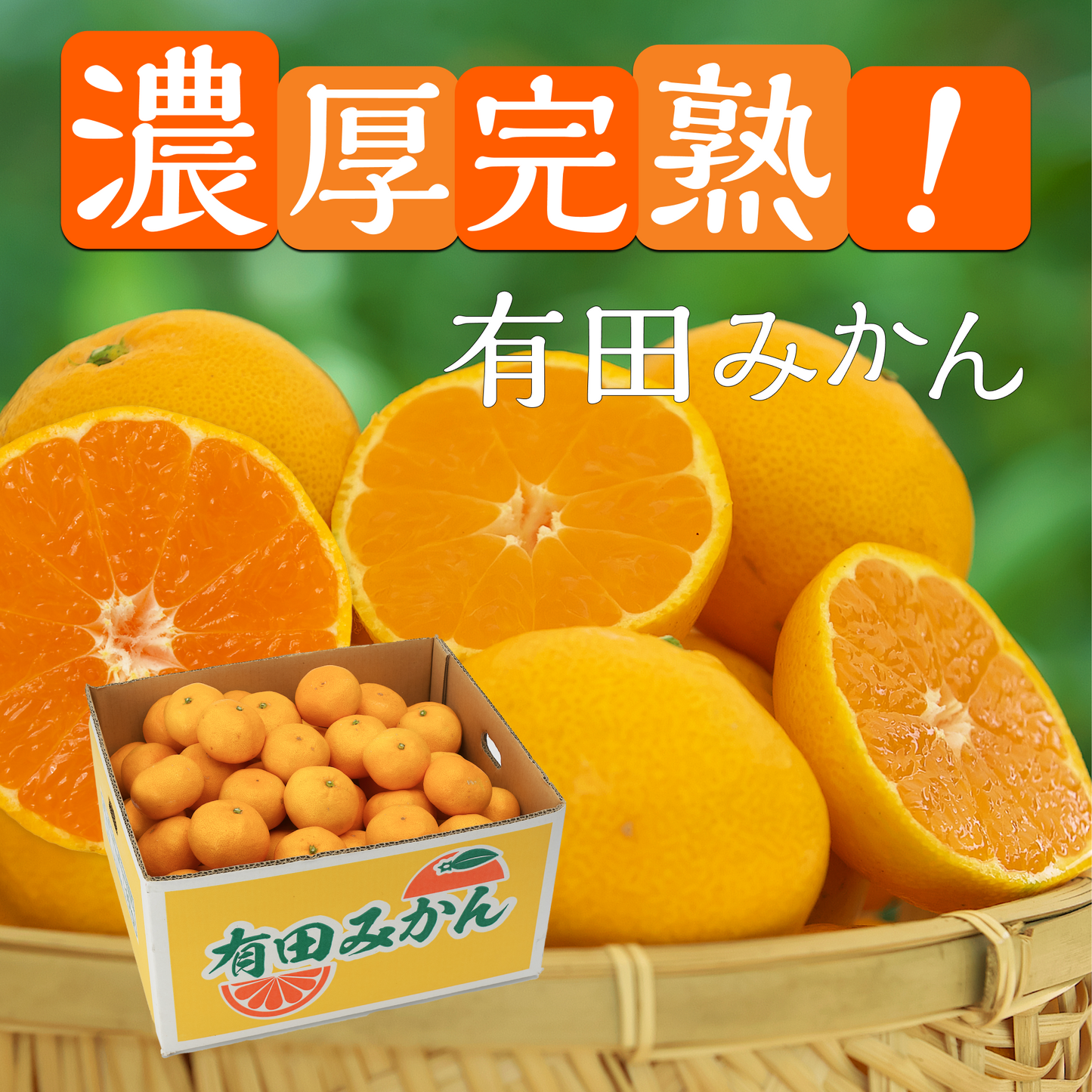 和歌山県有田産『みかん』(3kg入り)