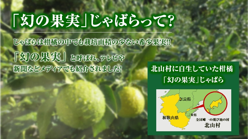 紀伊路屋 じゃばらの無添加ストレート果汁100%(720ml)2本セット