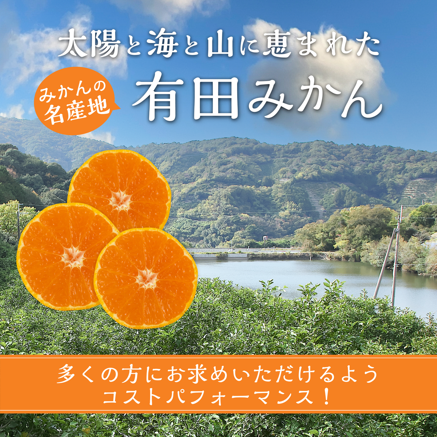 和歌山県有田産『みかん』(3kg入り)