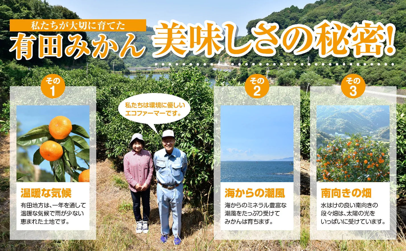 和歌山県有田産 『温州みかん』 『優品』(7.5kg入り)