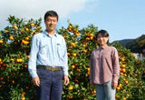 和歌山県有田産 じゃばら (10kg入り)