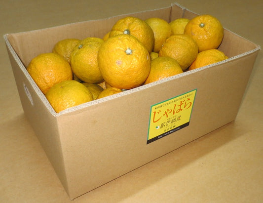 和歌山県有田産 じゃばら (3kg入り)