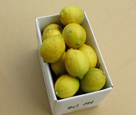【産地直送】和歌山県有田産 レモン（檸檬）　（1.8kg入り）