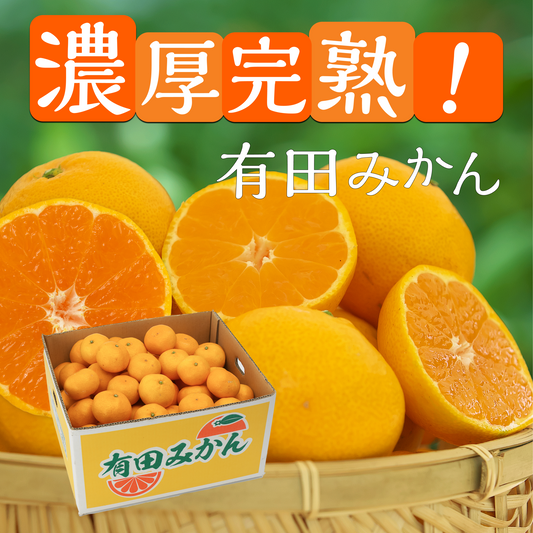 和歌山県有田産『みかん』(3kg入り)