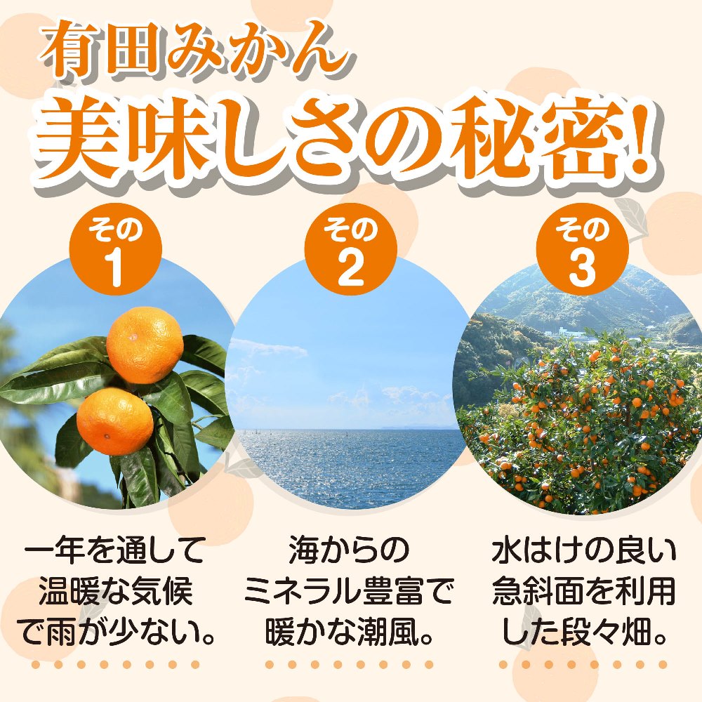 紀伊路屋　有田みかんの無添加ストレートジュース　果汁100％（180ml）